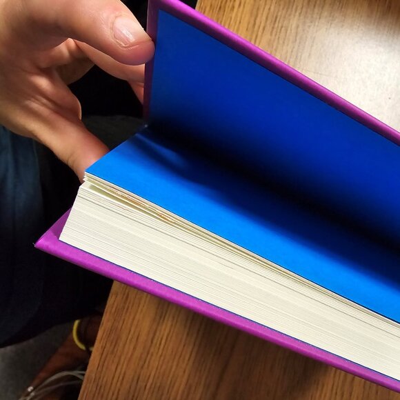 Diary of a Wimpy Kid the Meltdown - Picture 4 of 7